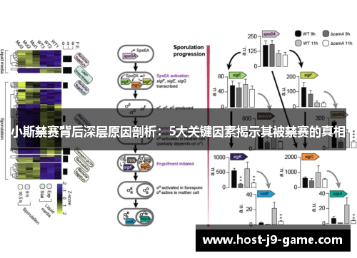 小斯禁赛背后深层原因剖析：5大关键因素揭示其被禁赛的真相