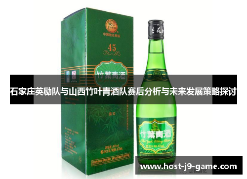 石家庄英励队与山西竹叶青酒队赛后分析与未来发展策略探讨