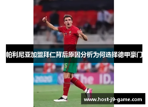 帕利尼亚加盟拜仁背后原因分析为何选择德甲豪门